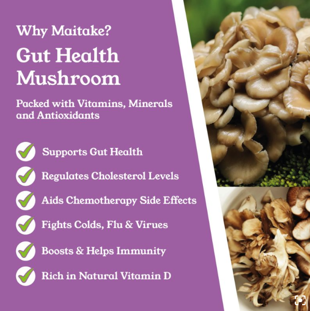 Miatake Mushroom Capsules by NTURE