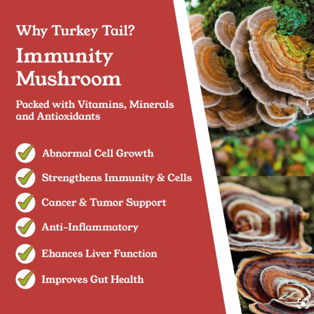 Turkey Tail Mushroom Capsules by NTURE