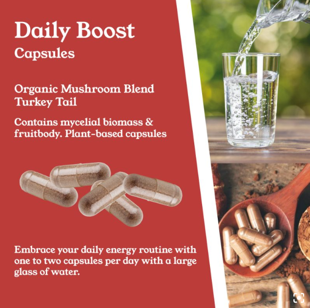 Turkey Tail Mushroom Capsules by NTURE