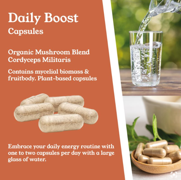 Cordyceps Militaris Capsules by NTURE
