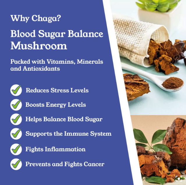 Chaga Mushroom Capsules by NTURE