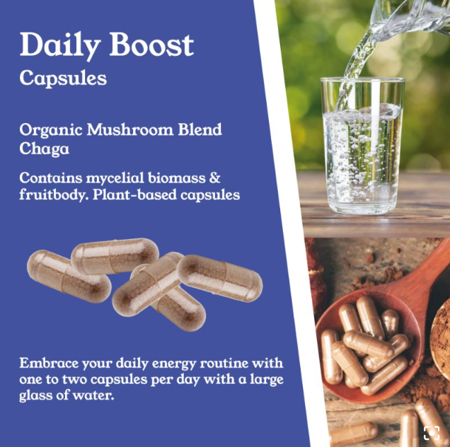 Chaga Mushroom Capsules by NTURE