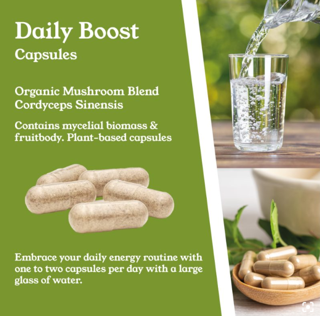 Cordyceps Sinensis Capsules by NTURE